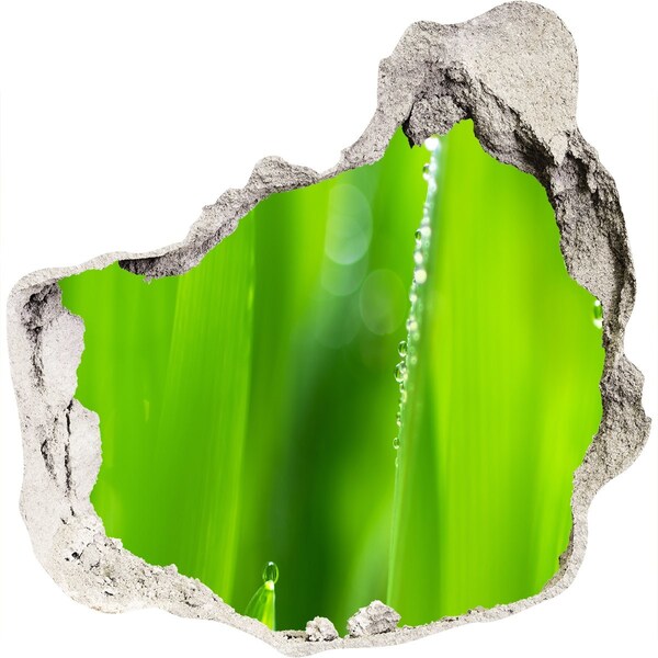 Fototapeta diera na stenu 3D Zelená lúka s kvapkami vody