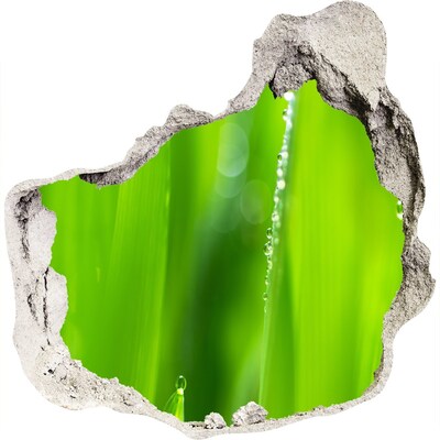 Fototapeta diera na stenu 3D Zelená lúka s kvapkami vody