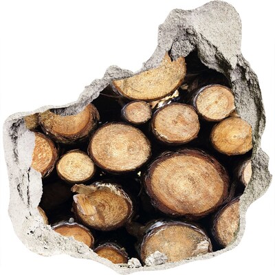 Diera 3D fototapety na stenu Drevo v diere v stene