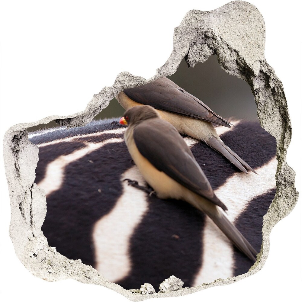 Nálepka fototapeta 3D výhľad Vtáky a zebra