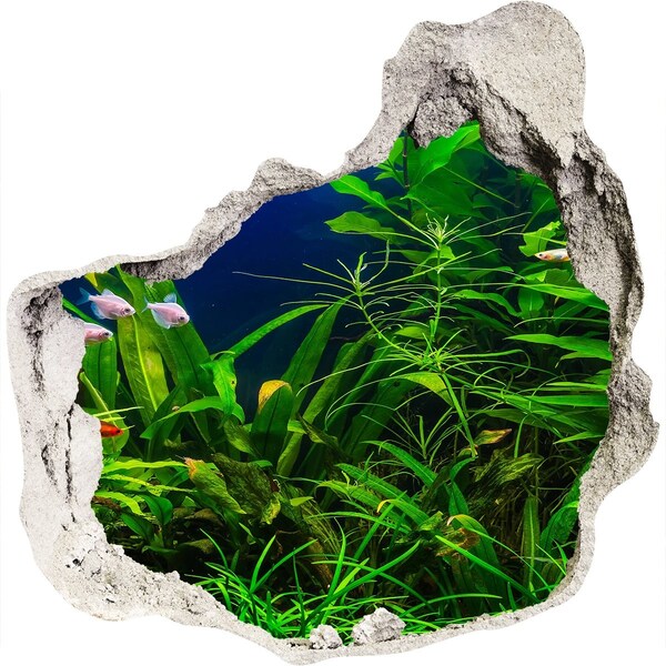 Fotoobraz diera na stenu Podvodný svet v akváriu