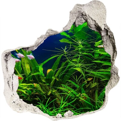 Fotoobraz diera na stenu Podvodný svet v akváriu