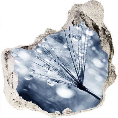 Fototapeta diera na stenu Kvapky rosy na púpave