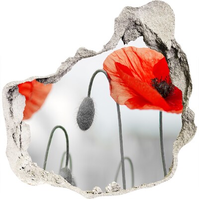 Diera 3D fototapety na stenu nálepka Kvety v diere v stene