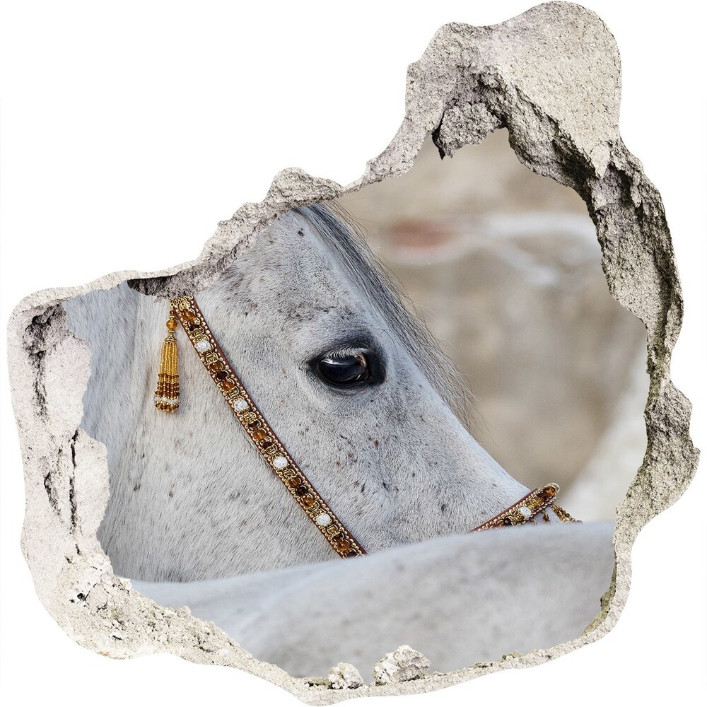 Fototapeta diera na stenu 3D Biela arabský kôň