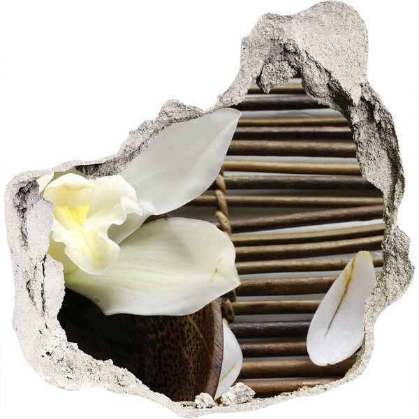 Fotoobraz diera na stenu Kvetinová oáza medzi kameňmi