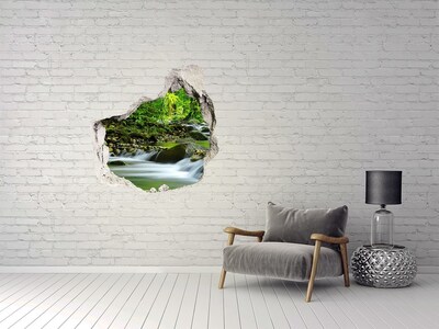Fototapeta diera na stenu Horského potoka
