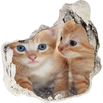 Diera 3D foto tapeta nálepka Malé mačky