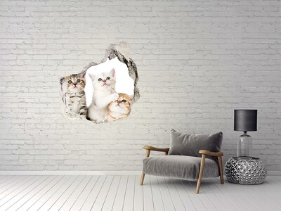 Diera 3D foto tapeta nálepka Nálepka malé mačky