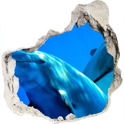 Fototapeta diera na stenu 3D Dva delfíny