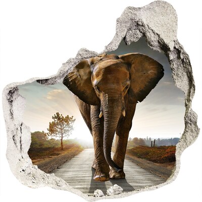 Fototapeta diera na stenu 3D Walking slon