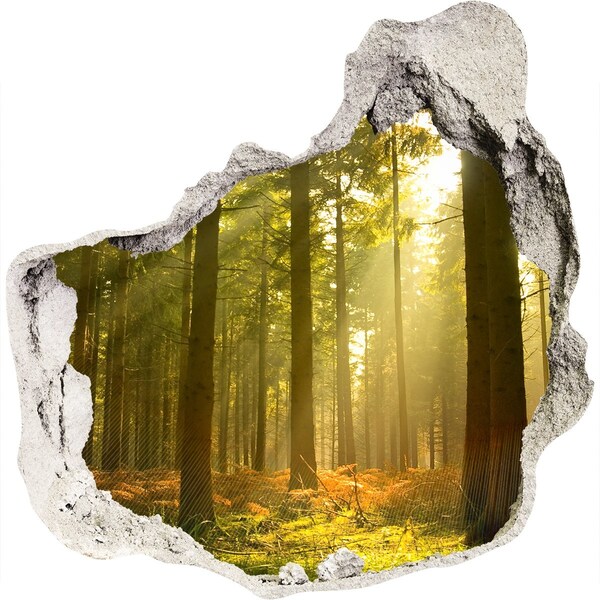 Nálepka 3D diera na stenu betón Forest na slnku