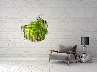 Fototapeta diera na stenu Listnatý les