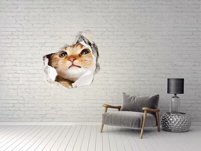 Fotoobraz diera na stenu Mačka v diere