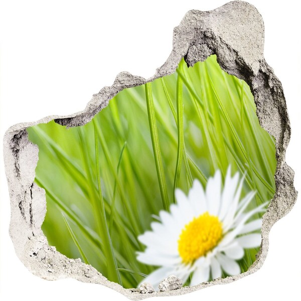 Nálepka fototapeta 3D výhľad betón Kvet v zelenej záhrade