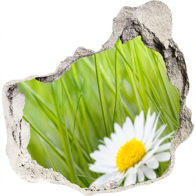 Nálepka fototapeta 3D výhľad betón Kvet v zelenej záhrade