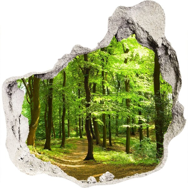 Diera 3D fototapety nálepka Lesné dráha