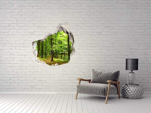 Diera 3D fototapety nálepka Lesné dráha