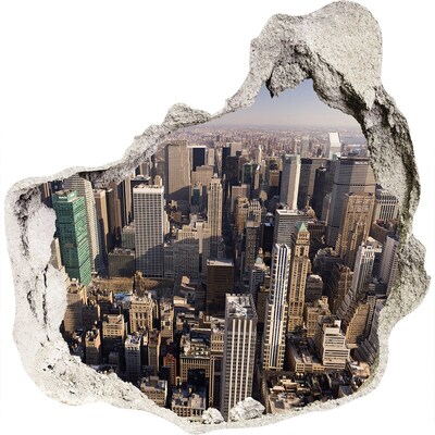 Fototapeta diera na stenu New york letu vták