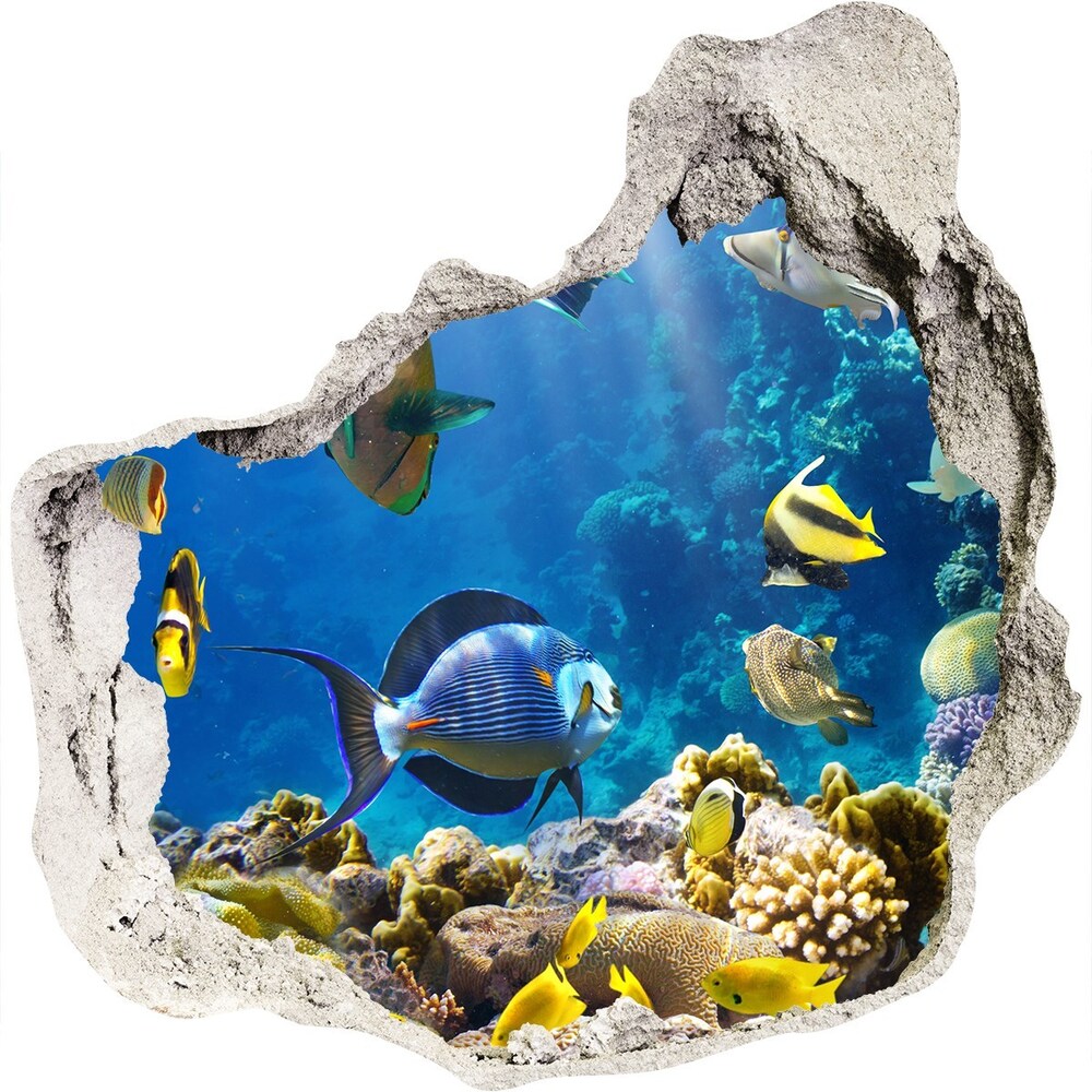 Fototapeta diera na stenu Koralový útes