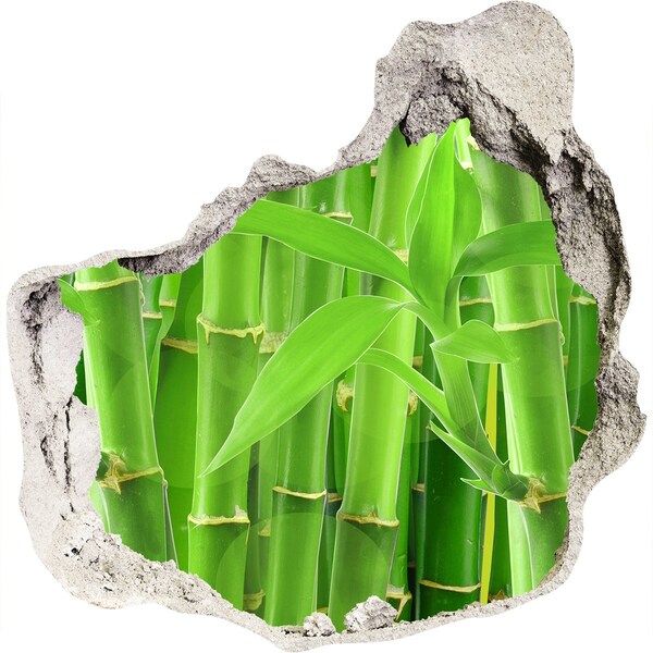 Fototapeta diera na stenu Zelený bambusový les