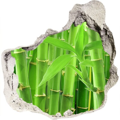 Fototapeta diera na stenu Zelený bambusový les