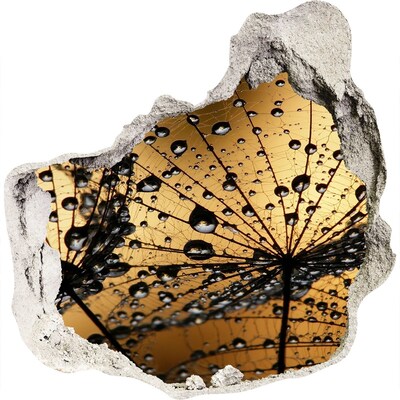 Samolepiaca diera nálepka betón Kvapky na listoch