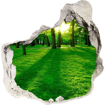 Fototapeta diera na stenu 3D Tráva v parku