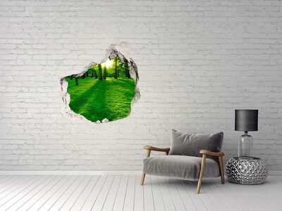 Fototapeta diera na stenu 3D Tráva v parku