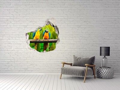 Diera 3D foto tapeta nálepka Papagáje na vetve