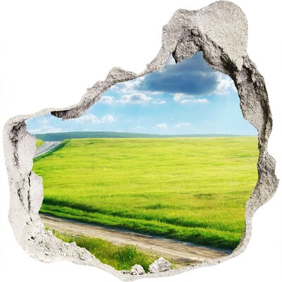 Diera 3D fototapety nástenná Cestu na lúke