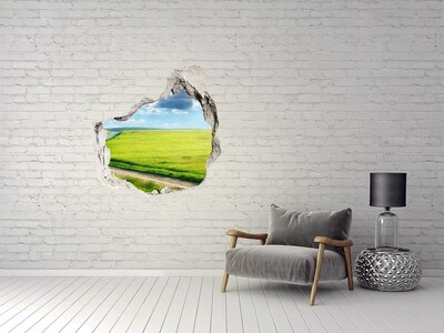 Diera 3D fototapety nástenná Cestu na lúke