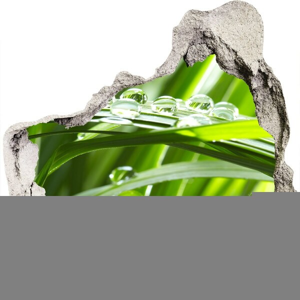 Nálepka fototapeta 3D na stenu Zelená lúka s kvapkami vody