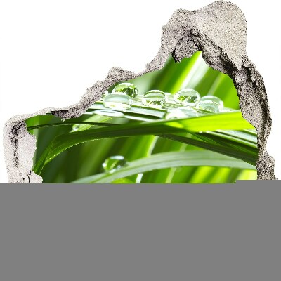 Nálepka fototapeta 3D na stenu Zelená lúka s kvapkami vody