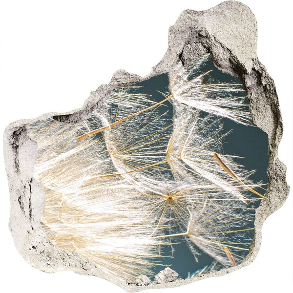 Nálepka fototapeta 3D výhľad Kvetinová krajina za dierou