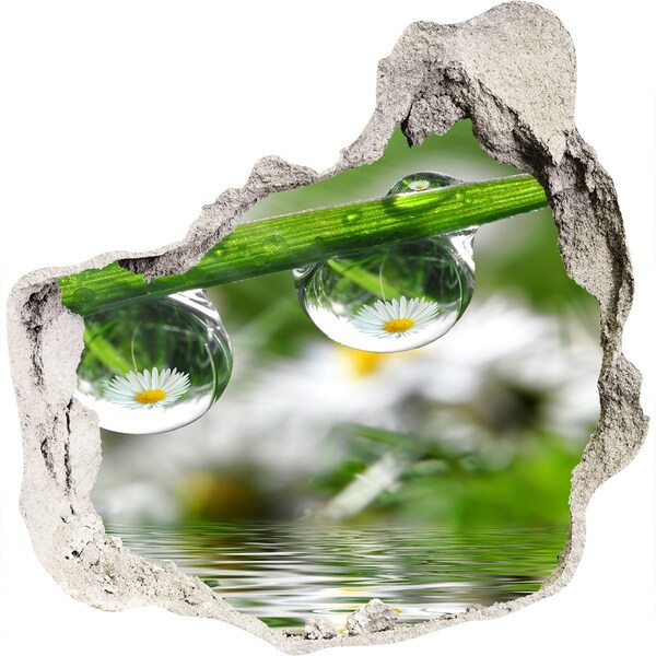 Samolepiaca diera nálepka Kvetinová oáza s kvapkami vody