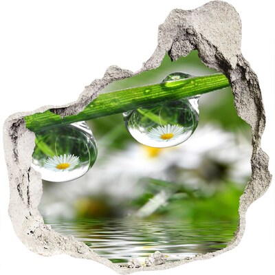 Samolepiaca diera nálepka Kvetinová oáza s kvapkami vody