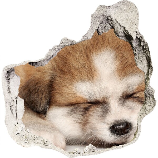 Nálepka fototapeta 3D výhľad Roztomilé šteniatko v diere v stene