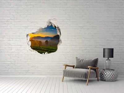 Nálepka 3D diera na stenu Čajové plantáže