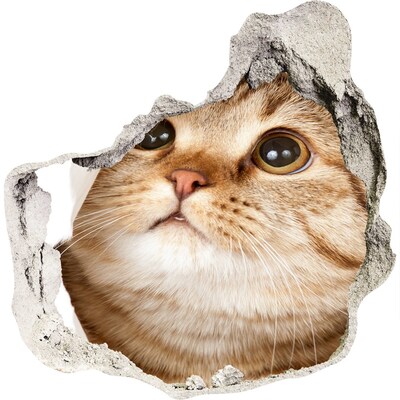 Samolepiaca diera na stenu Mačka v diere v stene