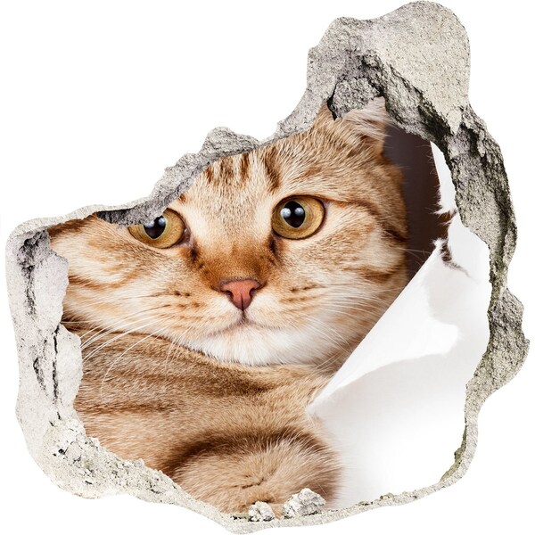 Foto fotografie diera na stenu Mačka v diere v stene