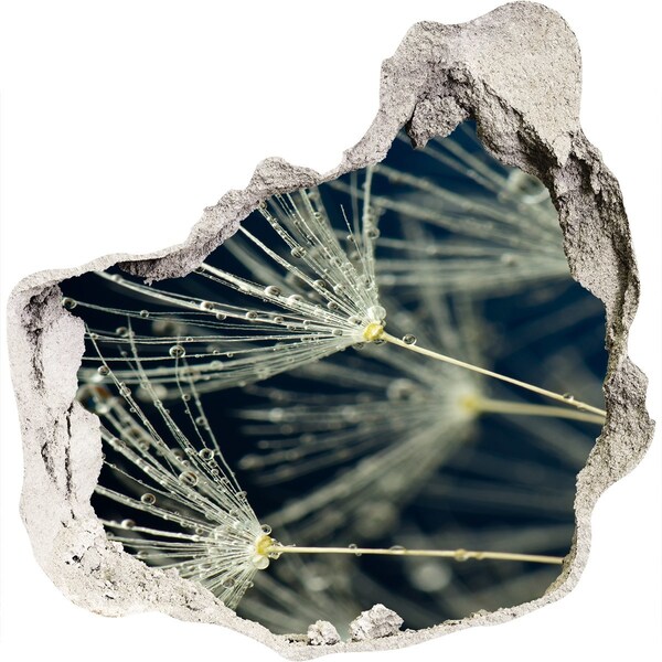 Fototapeta diera na stenu Púpavové kvety vo vode