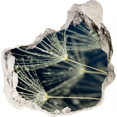 Fototapeta diera na stenu Púpavové kvety vo vode