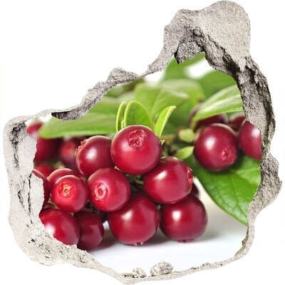 Fototapeta diera na stenu 3D nálepka Ovocná diera v stene