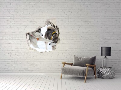 Samolepiaca nálepka betón Sibírske husky v akcii