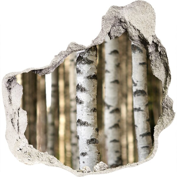 Foto fotografie diera na stenu Lesná oáza v betóne