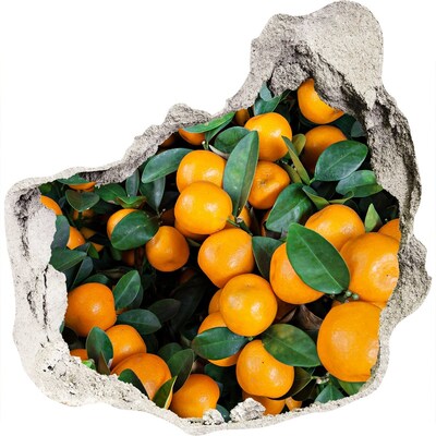 Samolepiaca nálepka betón Ovocie v pomarančovej záhrade