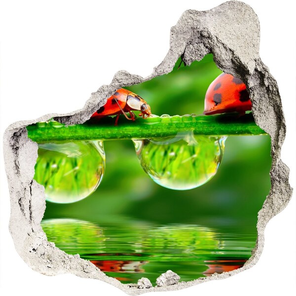 Samolepiaca diera nálepka Kvapka prírody s lienkou