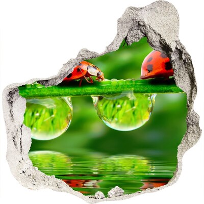 Samolepiaca diera nálepka Kvapka prírody s lienkou