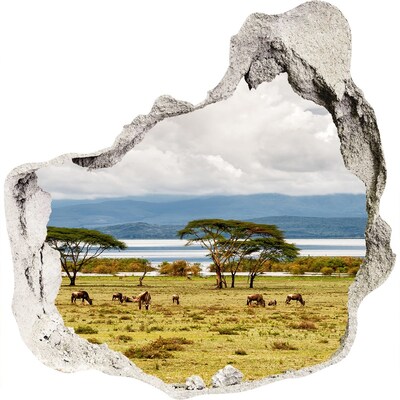 Fototapeta diera na stenu 3D Naivasha